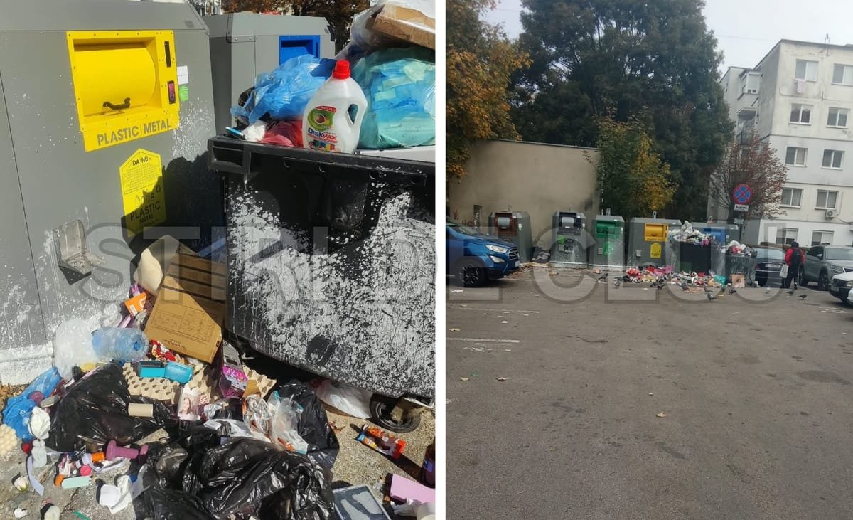 Gunoaiele din containerele de pe o stradă din Cluj-Napoca atrag șobolani și ploșnițe, spun locatarii
