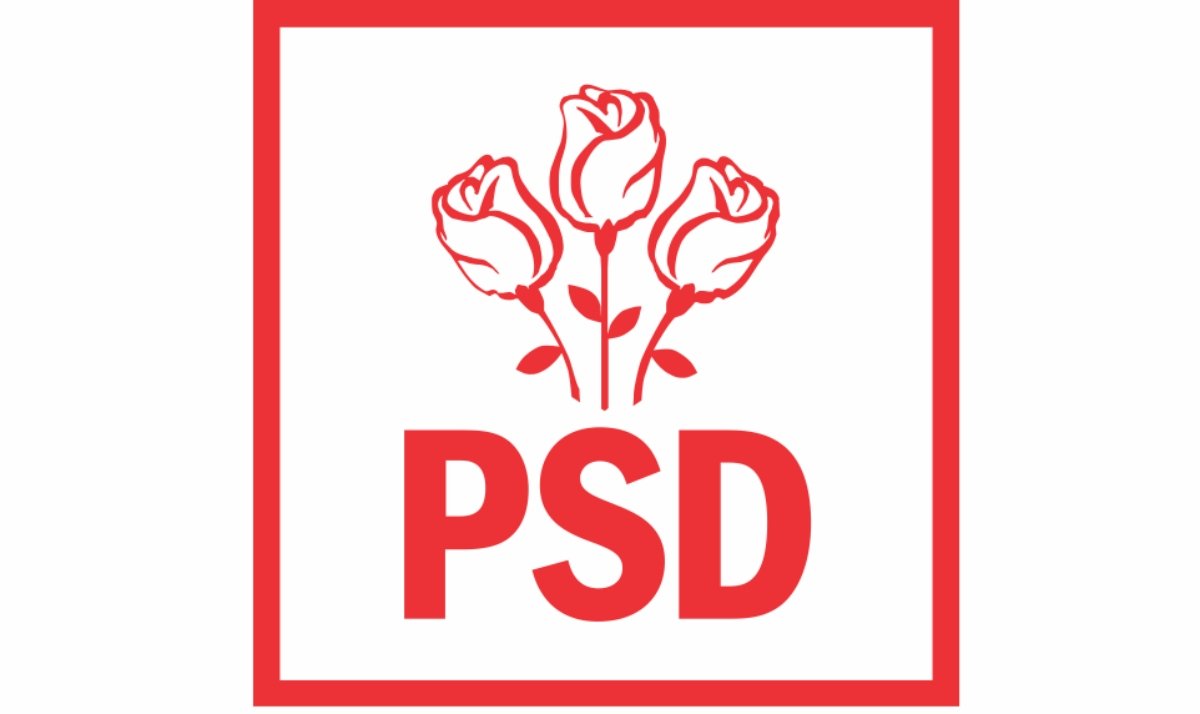 Guvernul Niculescu: PSD analizează variantele de numire în ministere