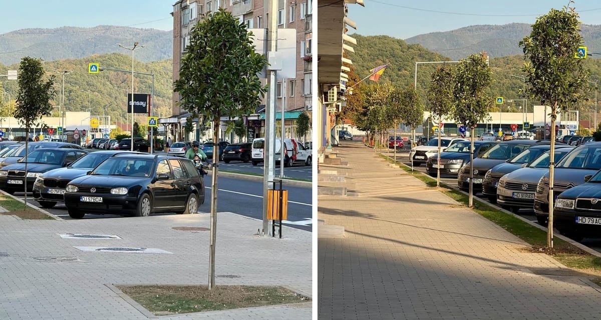 Hațeg: centrul orașului se modernizează, primarul anunță plantarea de arbori și noi spații verzi