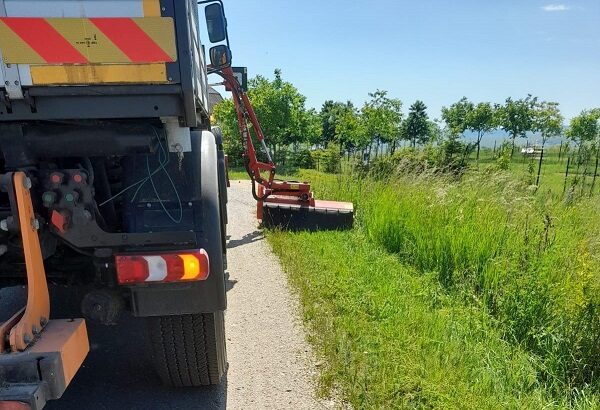 I s-a pus gând rău vegetației de lângă drumurile județene