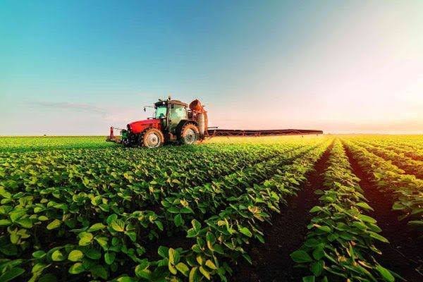 Importăm cu 22 de miliarde de euro mai mult decât exportăm, în 8 luni. Ce cere șeful PNADD noului guvern