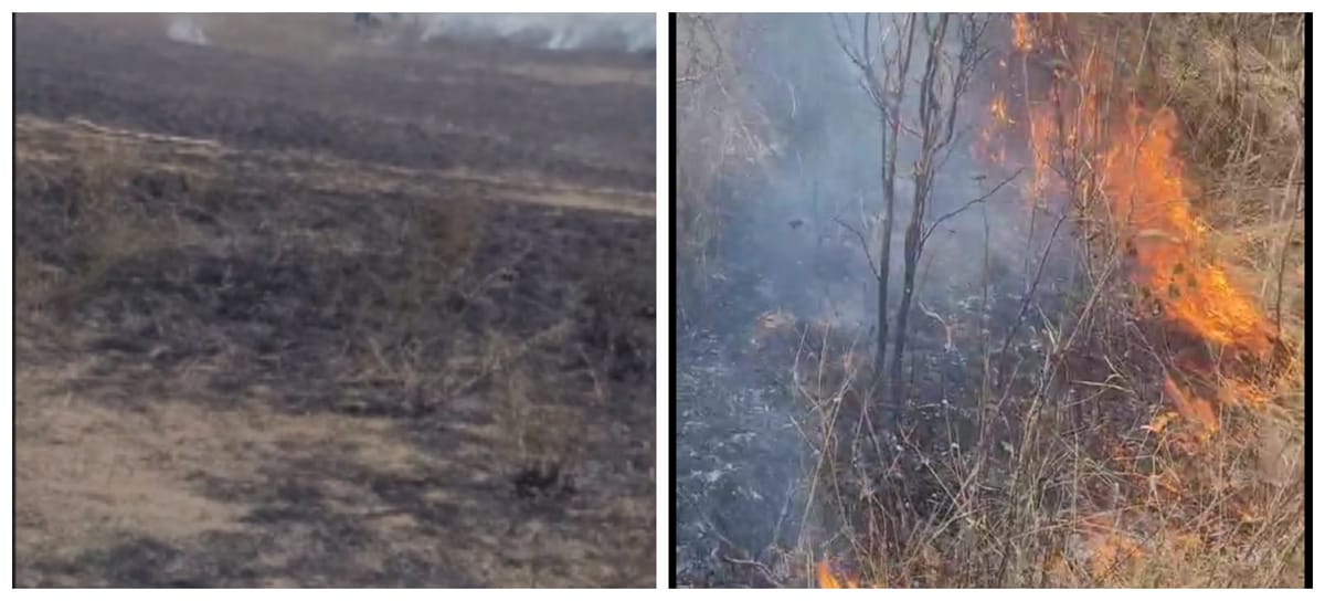 Incendiu de vegetație în Cluj: hectare de câmpuri arse, video exclusiv