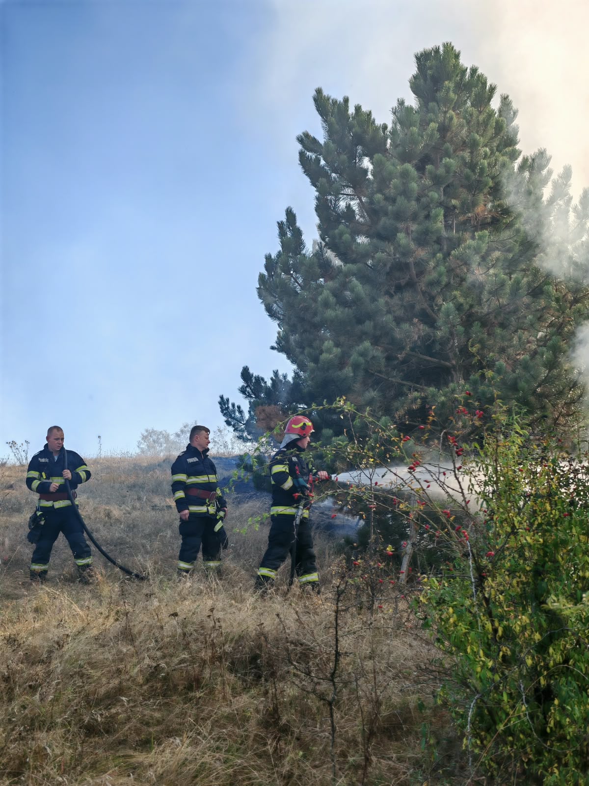 Incendiu de vegetație în Stupini, pe șapte hectare, cu vântul care împinge flăcările spre un lan de porumb