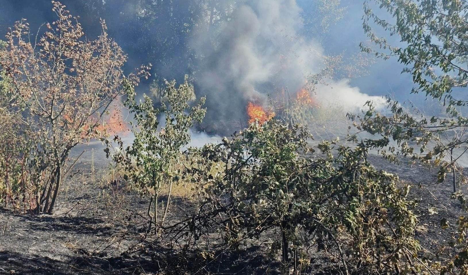 Incendiu de vegetație uscată la Lunca Mureșului. Intervin pompierii din Aiud și SVSU