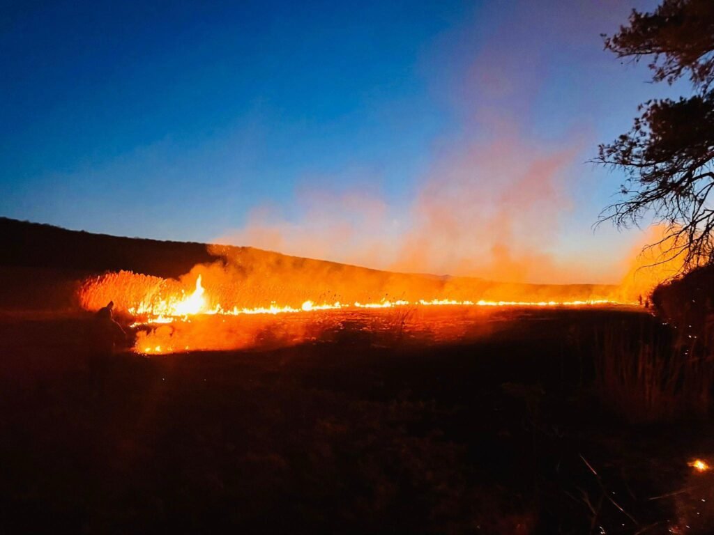 Incendiu de vegetație în Dumbrăvița, Brașov, amenință două stâne și o pădure