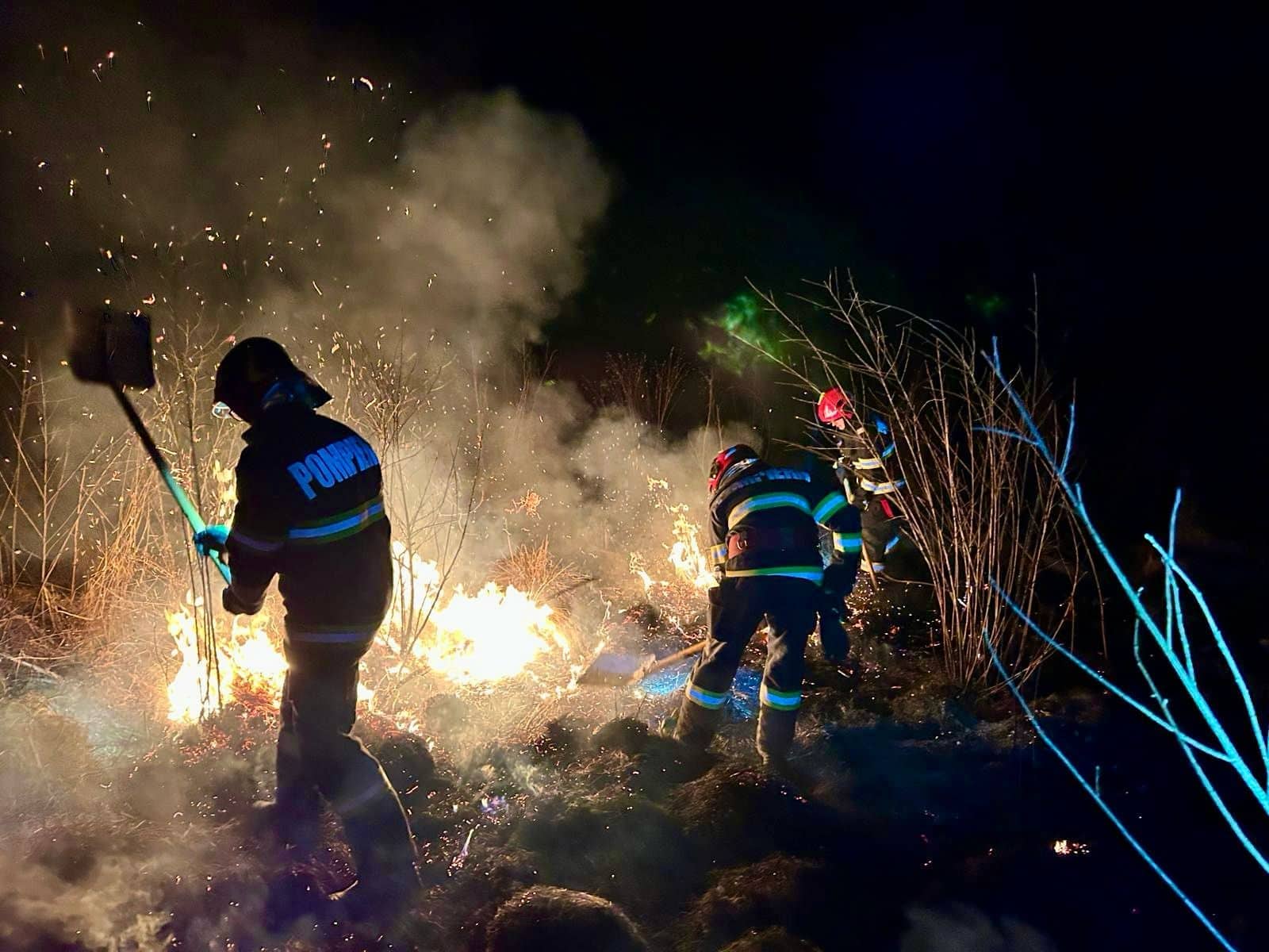Incendiu la Crinț localizat după ce au ars 15 hectare de vegetație