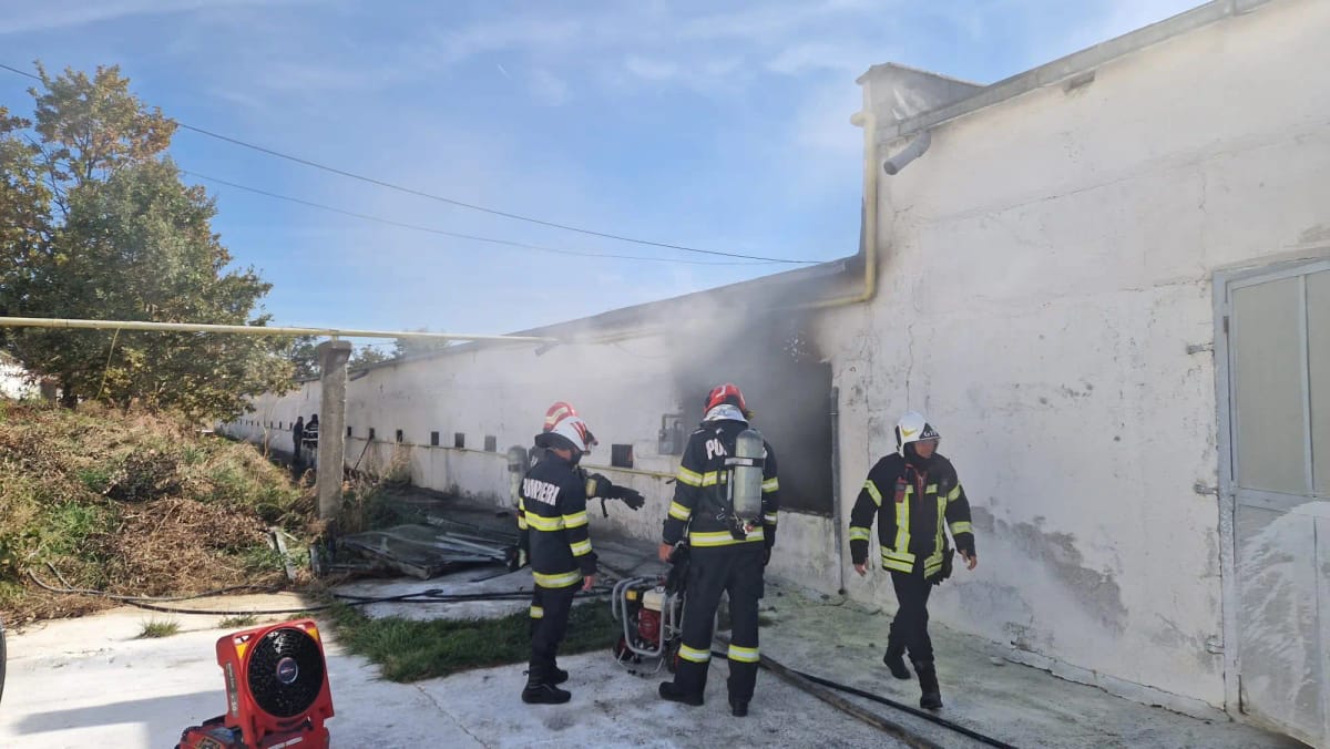 Incendiu la o fermă din Dumbrăvița, Brașov: o hală cu paie, cuprinsă de flăcări