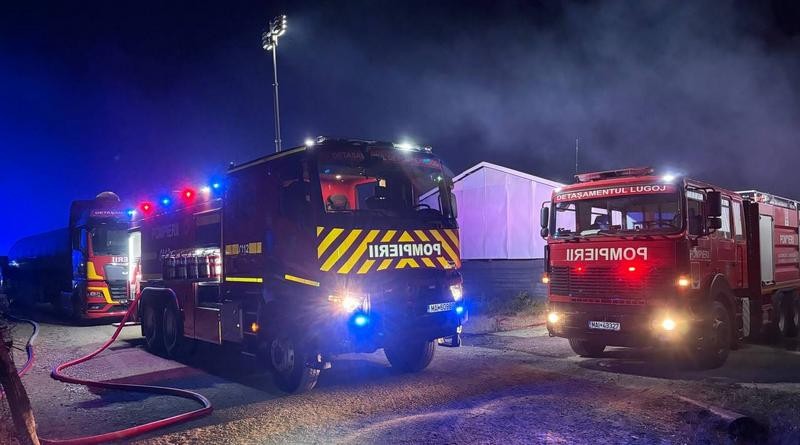 Incendiu la o hală de prelucrare a lemnului din localitatea Victor Vlad Delamarina