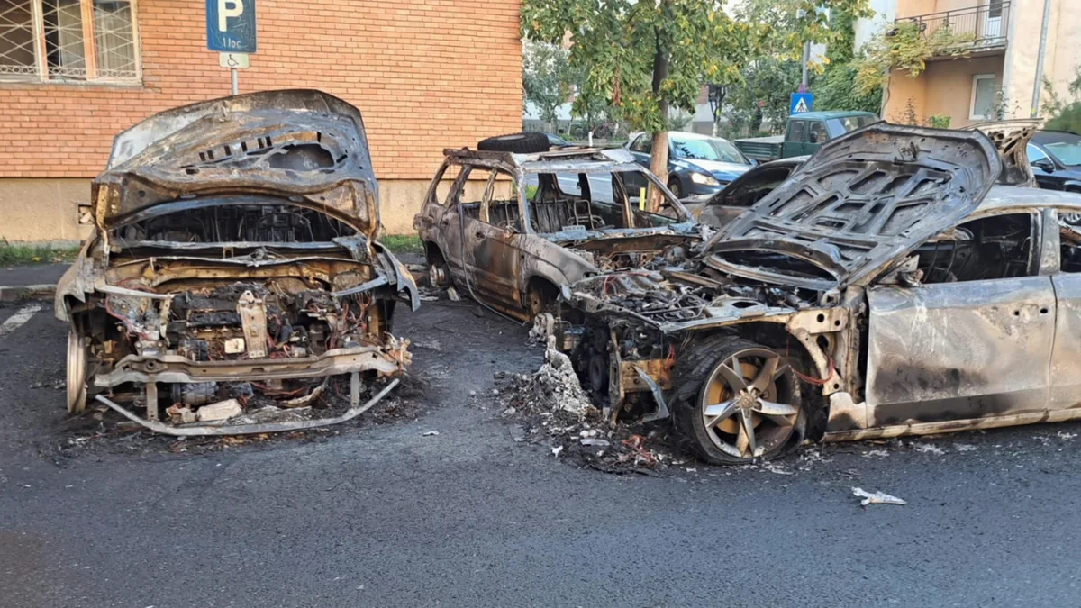 Incendiul din Micălaca, Arad: 5 ani de închisoare pentru un arădean, condamnare definitivă