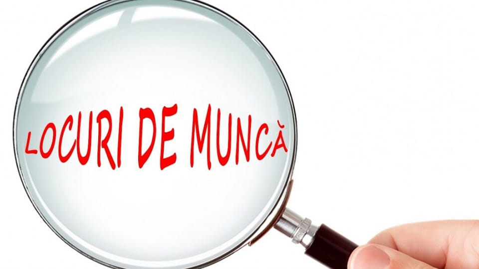 Locuri de muncă în Baia de Arieș, disponibile la 29 septembrie 2026. AJOFM Alba a publicat lista posturilor vacante