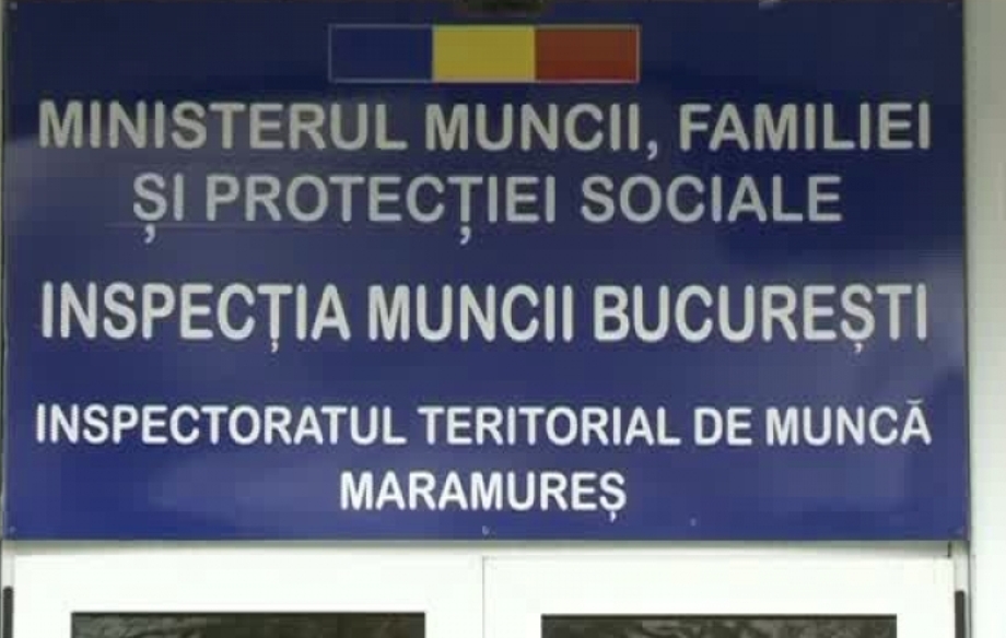 Maramureș: opt firme din păduri, sancționate de ITM pentru utilaje fără autorizație și lipsa protecției