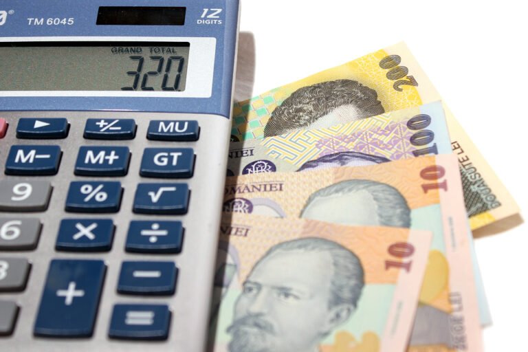 Ministrul Muncii: 11.000 de lei pe lună, venitul necesar unei familii cu doi copii pentru un trai decent
