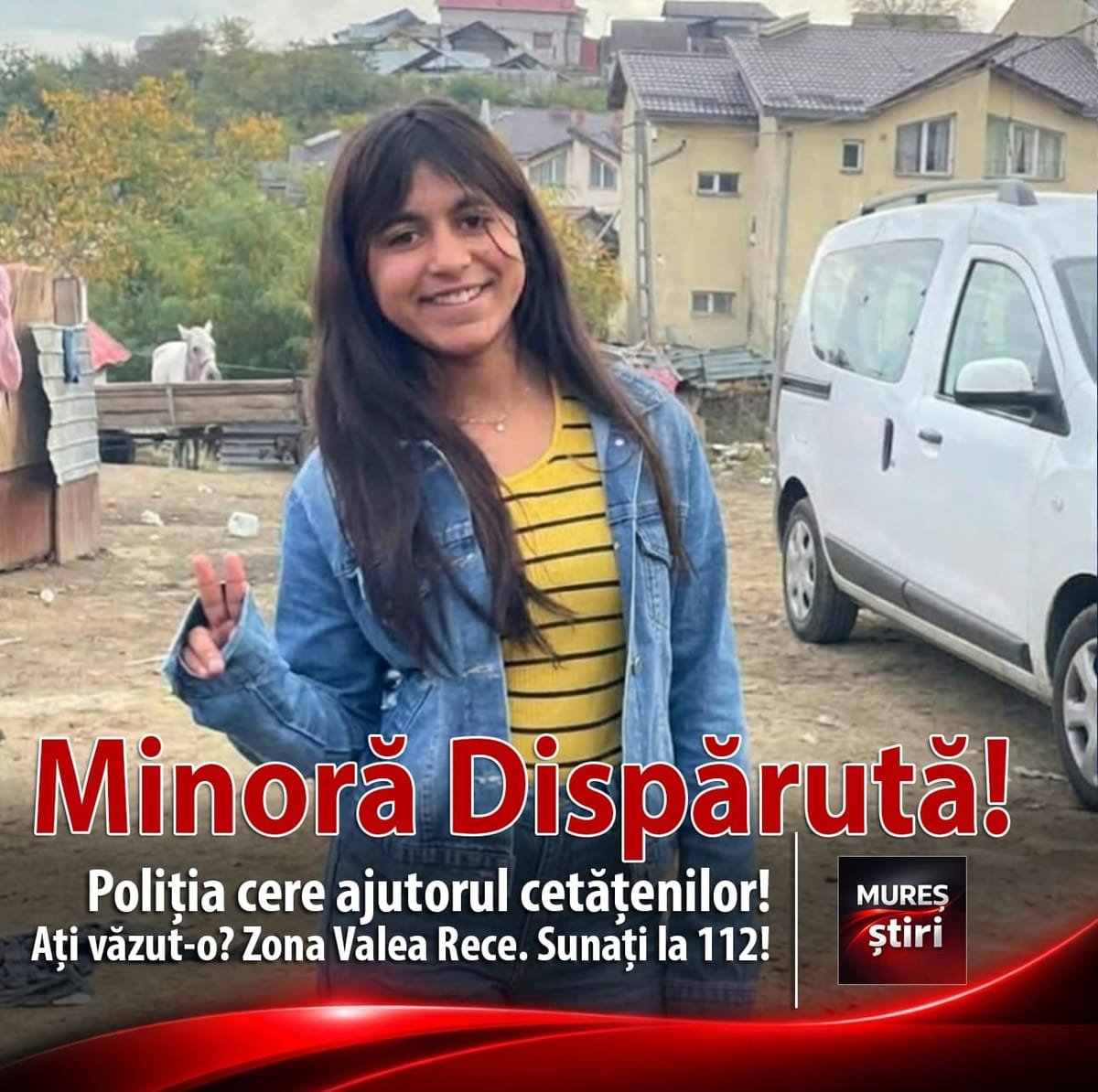 Minoră de 13 ani, dispărută din Târgu Mureș, căutată de polițiști; cine o vede sună la 112