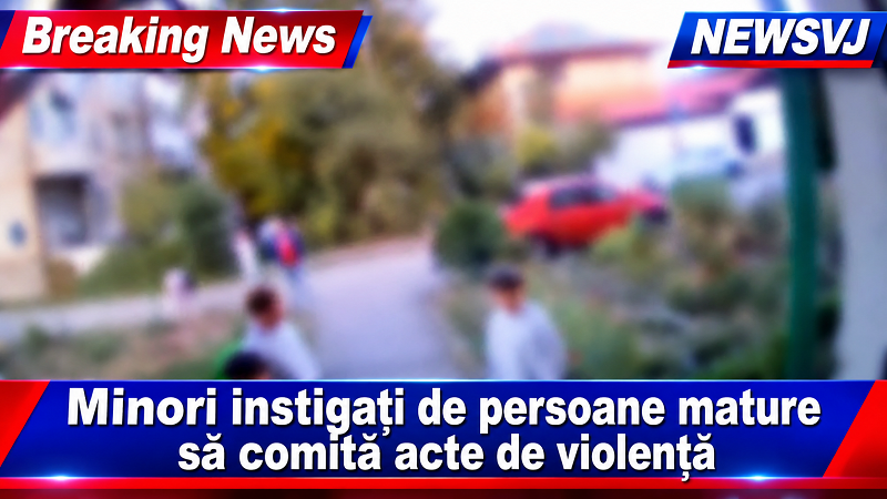 Minori instigați de persoane mature să comită acte de violență/VIDEO