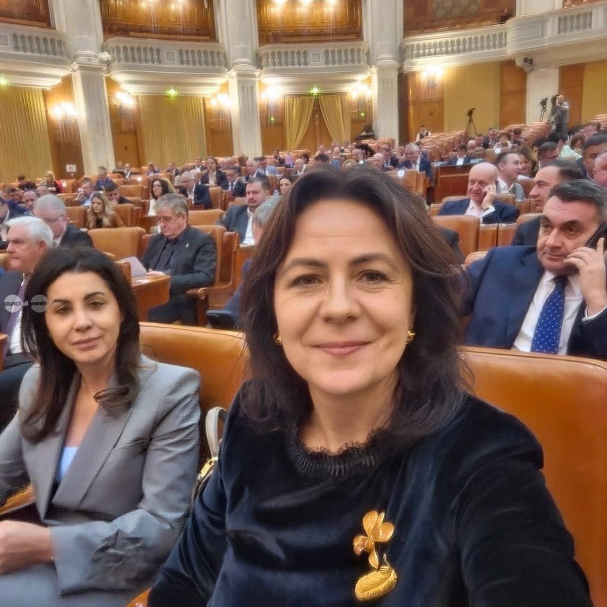 Mureșul, printre județele vizate inițial de legea investițiilor adoptată de Camera Deputaților
