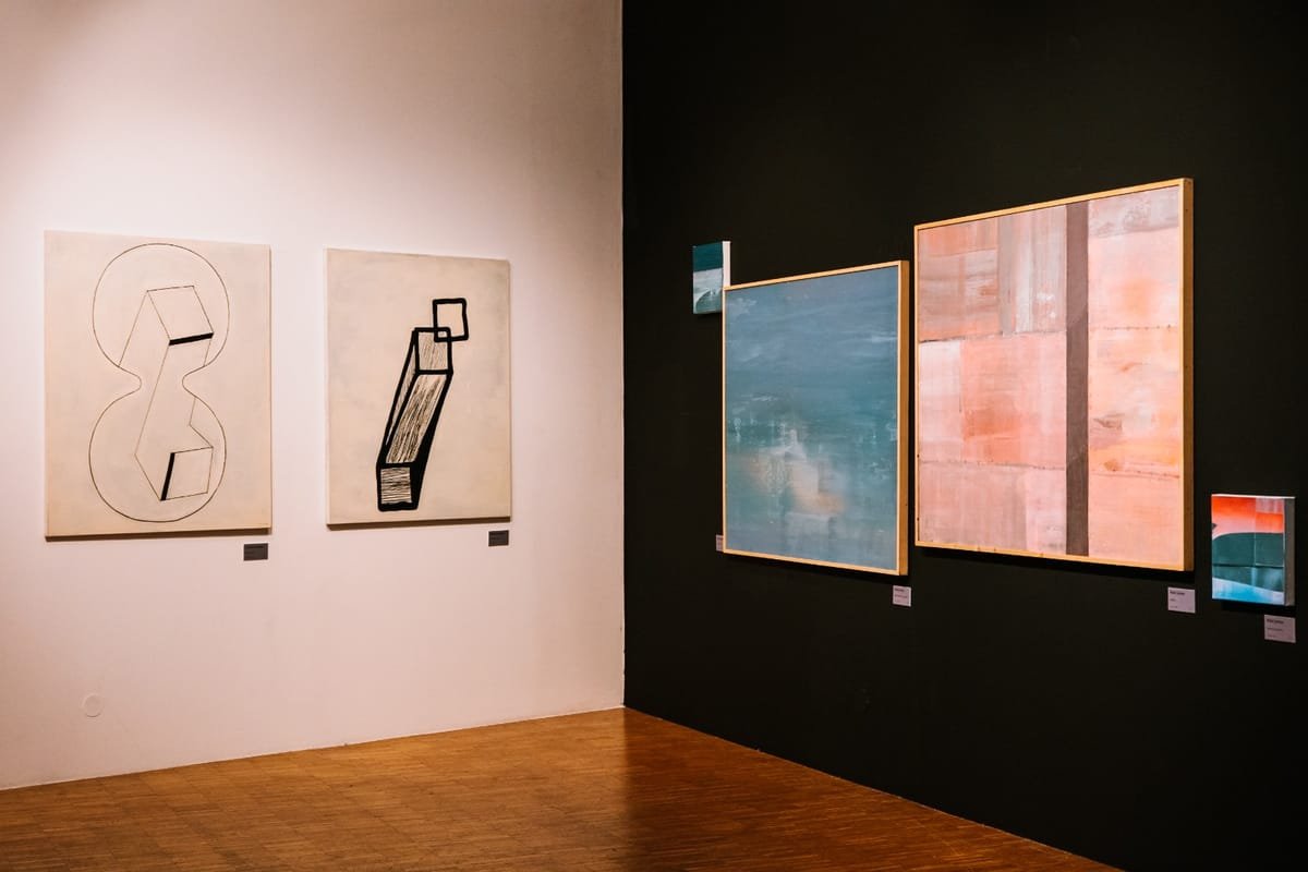 Muzeul de Artă Cluj-Napoca: întâlnire cu publicul despre expoziția Terra Lucida, miercuri, 14 octombrie