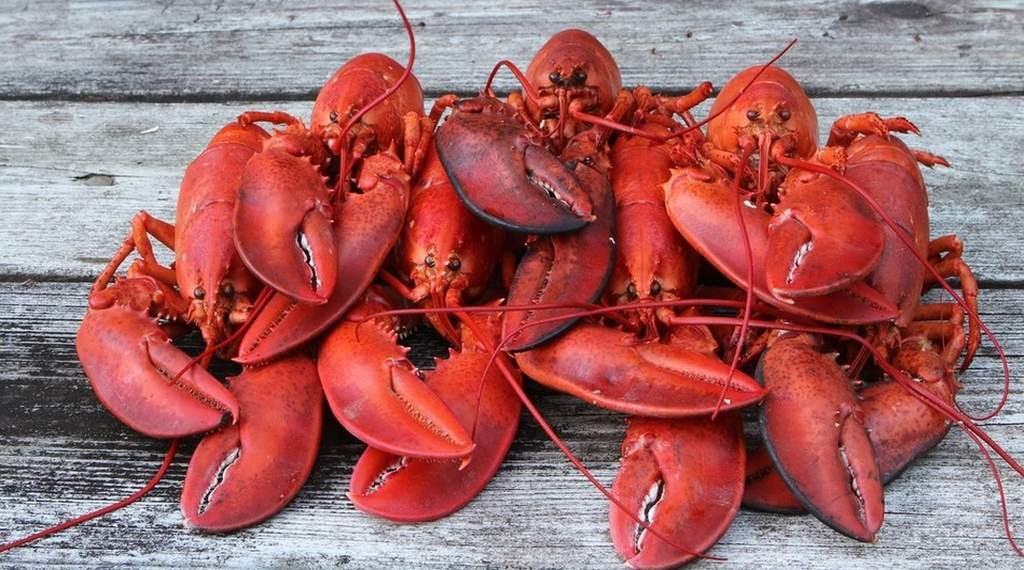 În Elveţia a devenit ilegal să fierbi crustaceele vii