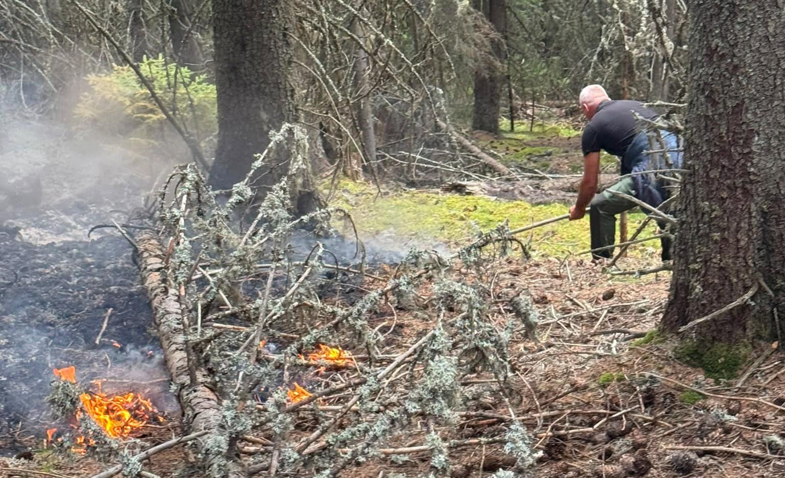 Normele de prevenire și apărare împotriva incendiilor forestiere, puse în dezbatere publică