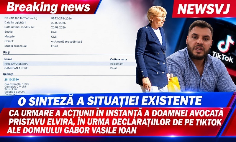 O sinteză a situației existente ca urmare a acțiunii în instanță a doamnei avocată Pristavu Elvira, în urma declarațiilo