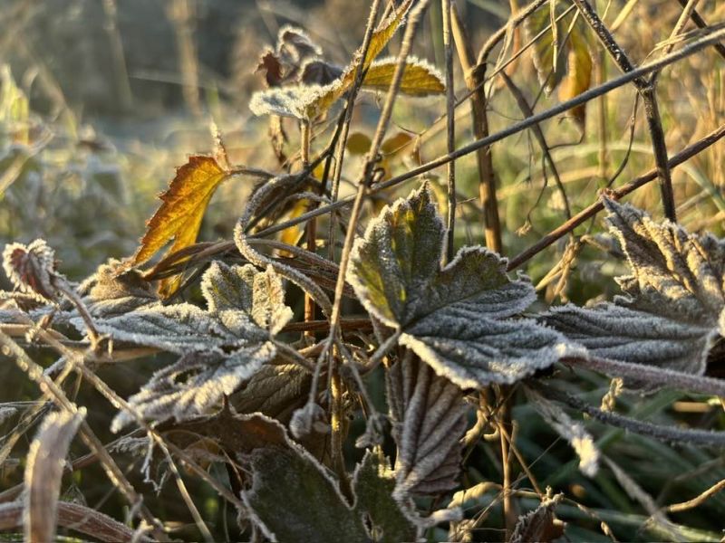 Octombrie începe cu soare și temperaturi de peste 20 de grade, dar nopți reci. Meteo.BN anunță cel puțin șapte zile de v