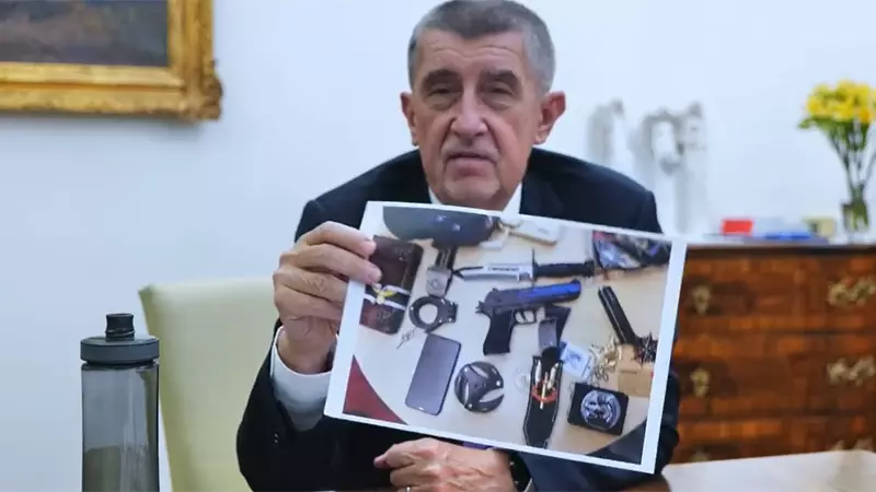 Opoziția din Cehia obține cele mai multe voturi la alegerile parțiale pentru Senat, în dauna lui Babiš