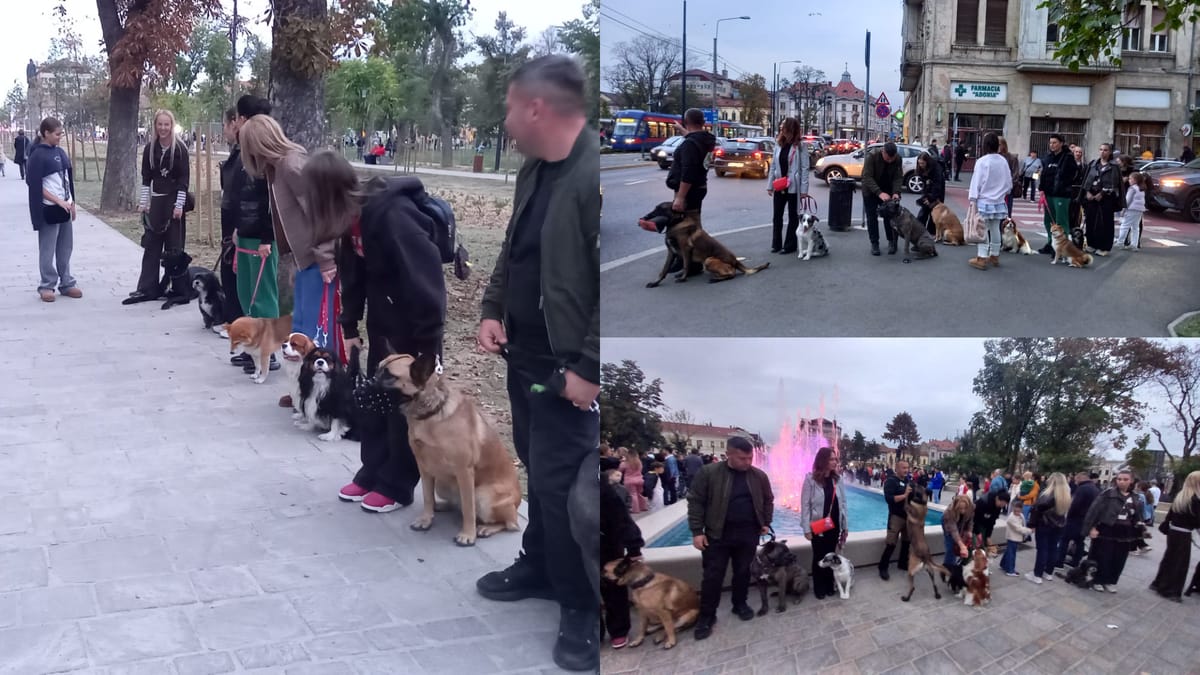 Oradea: zeci de câini de diverse rase au defilat prin centru, la parada One Big Jump