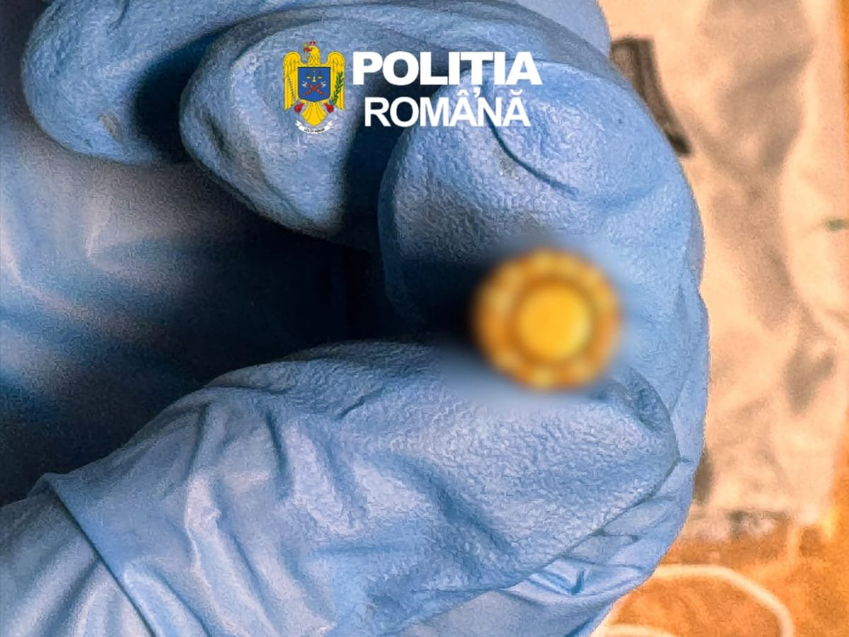 Oravița: un bărbat de 30 de ani va fi tras la răspundere după ridicarea unei arme letale și a muniției