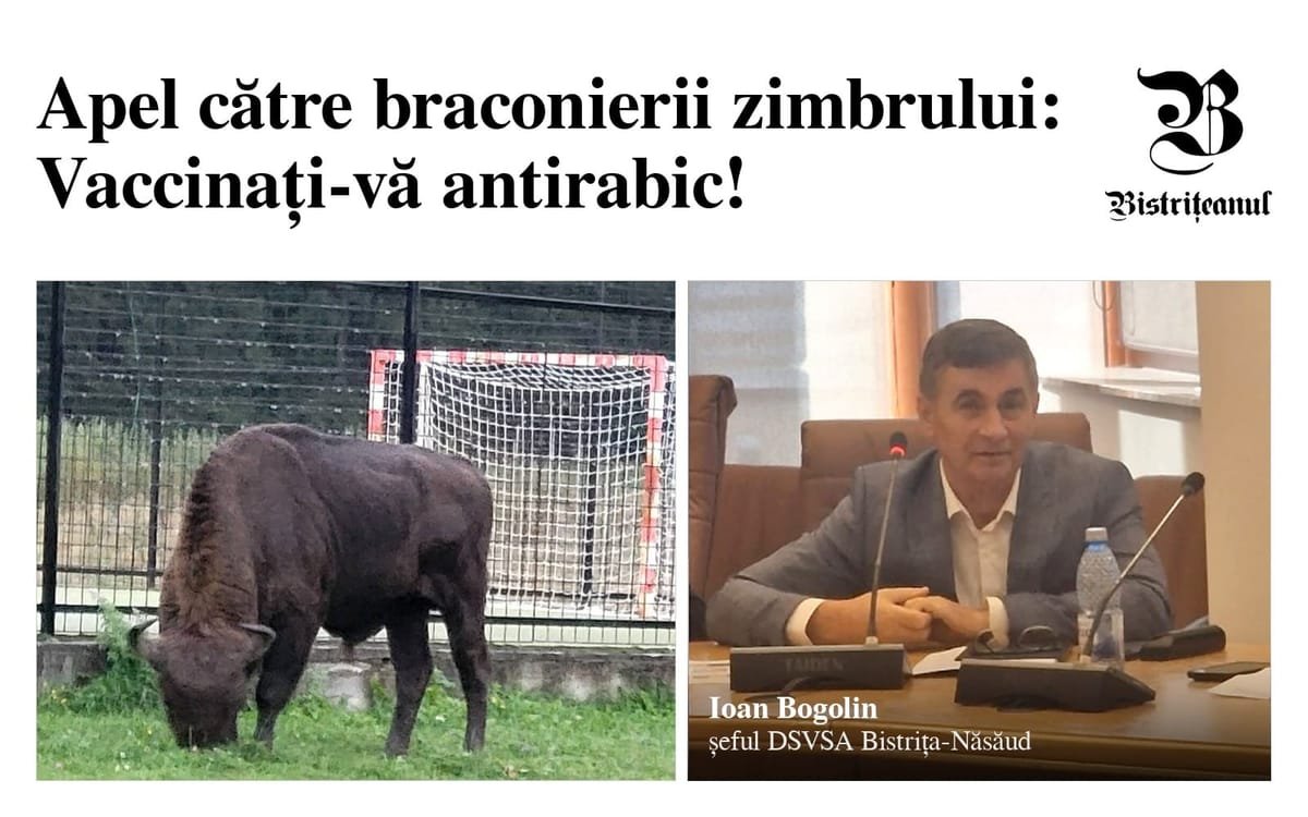 Pădurea Ivăneasa: zimbru protejat, găsit mort și decapitat; cine a lucrat cu el trebuie vaccinat antirabic