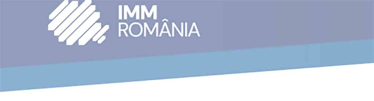 Palatul Victoria: IMM România, întâlnire cu premierul Luca Niculescu despre lipsa capitolului pentru IMM-uri