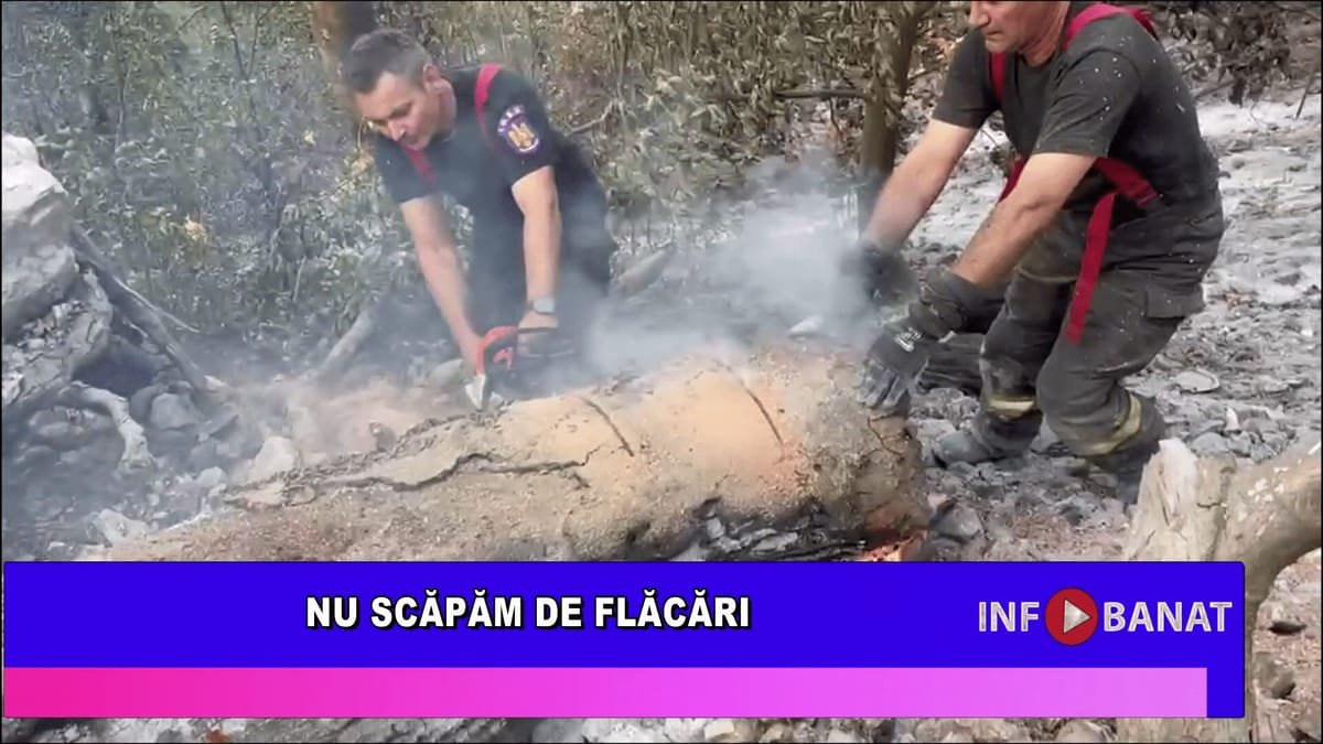Parcul Domogled Valea Cernei: ploaia ajută pompierii, care luptă de peste două luni cu incendiul