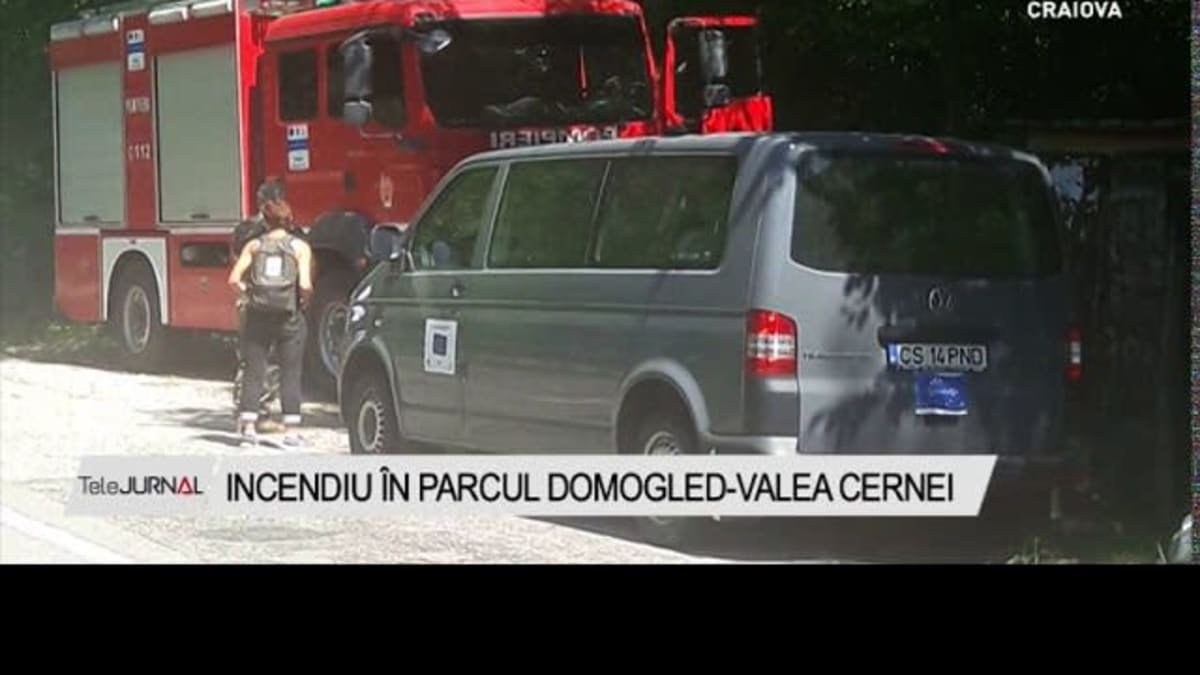 Parcul Național Domogled: incendiul a fost stins de pompieri după aproape două luni