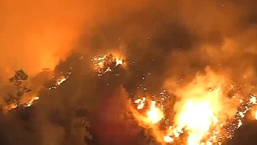 Parcul Național Domogled: pompierii au stins incendiul după săptămâni de luptă cu flăcările