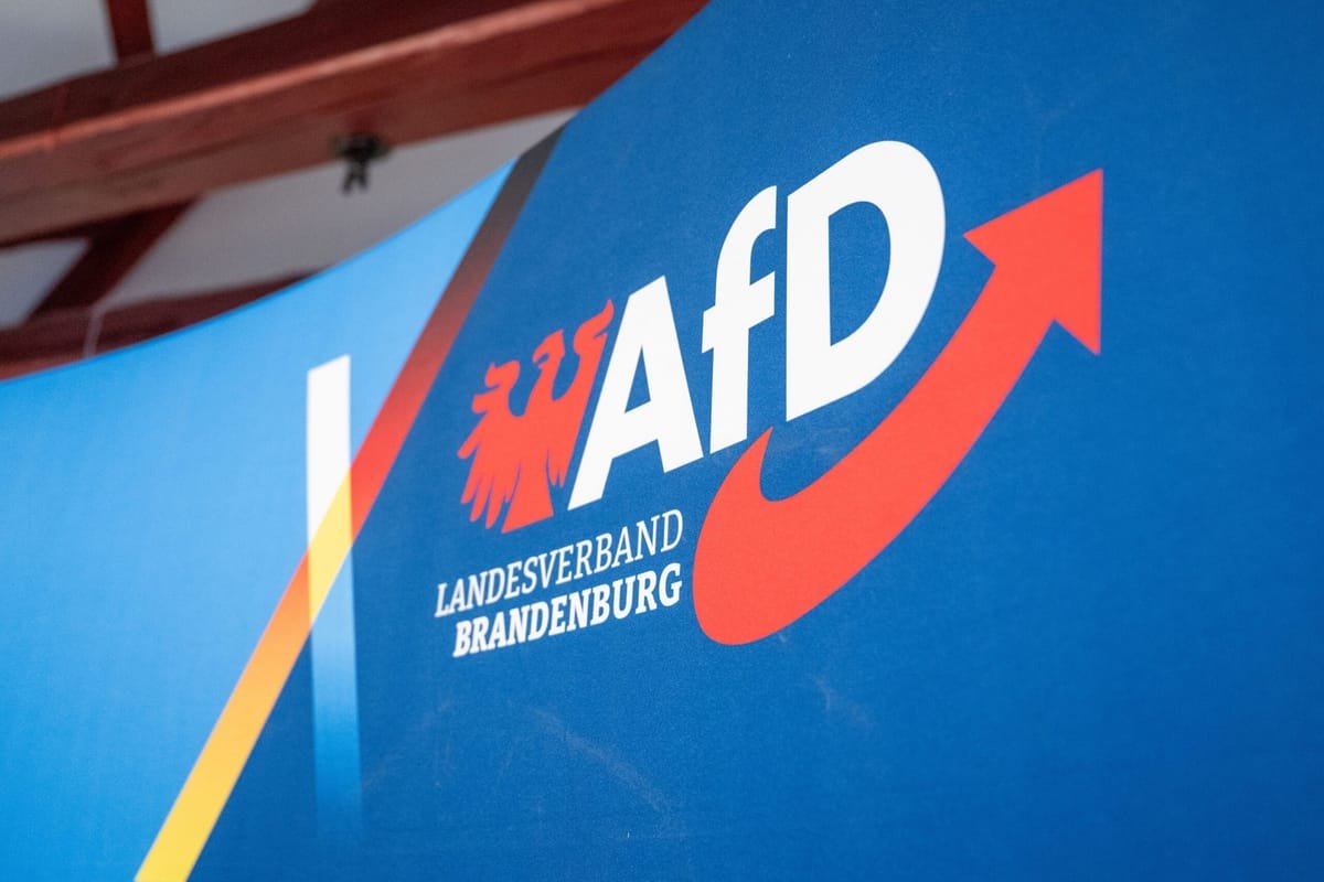 Partidul german AfD, vizat de un atac cibernetic: circa 421.000 de e-mailuri ar fi fost publicate online