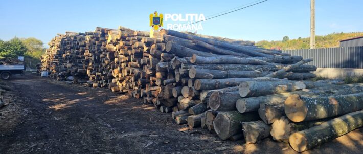 Peste 50 de metri cubi de lemn, confiscați de polițiști în Bihor. Ce au descoperit într-un depozit