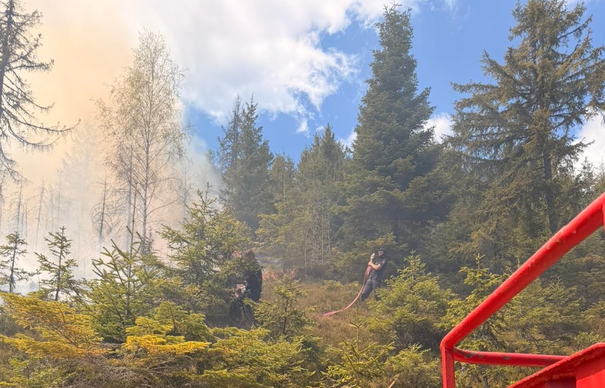 Poiana Vadului: incendiu de vegetație uscată pe circa 2.000 mp, intervin pompierii din Câmpeni
