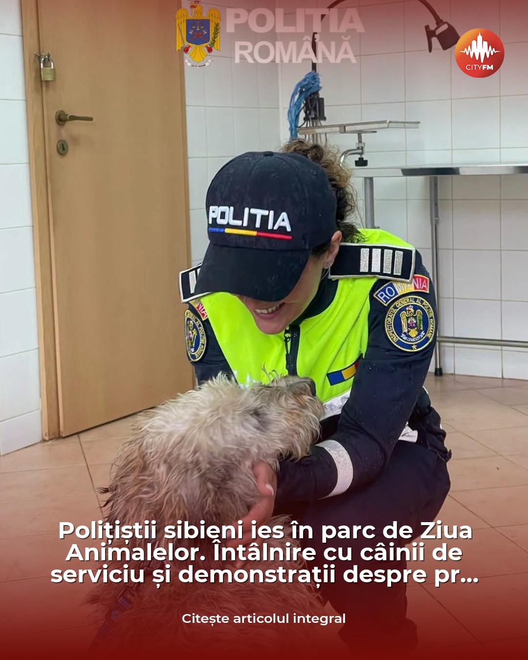 Polițiștii sibieni ies în parc de Ziua Animalelor. Întâlnire cu câinii de serviciu și demonstrații despre protecția necu