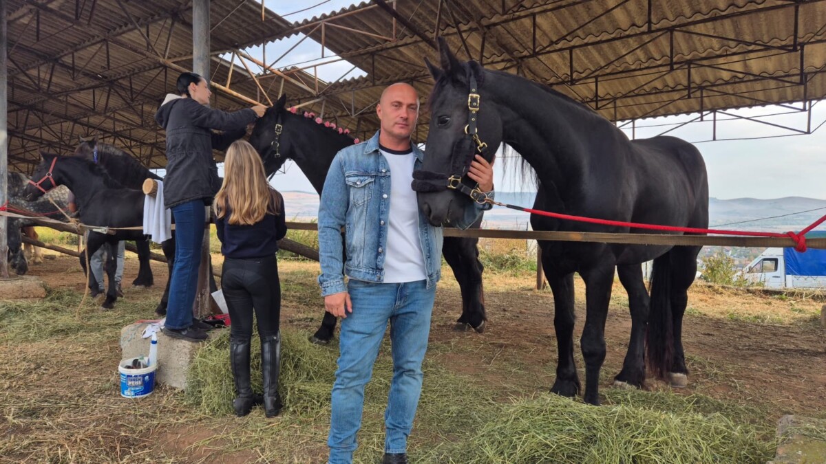 Poligonul Micești: cei mai frumoși cai din zonă intră în competiție la Tropote în Țara Vinului