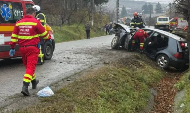 Portița, Satu Mare: șofer condamnat pentru ucidere din culpă, după ce a încercat să evite un câine