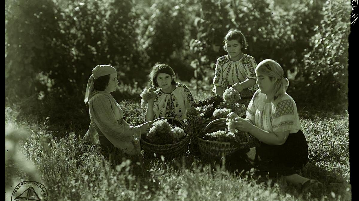 Povestea fântânilor în care curgea vin: legenda populară despre cum Dumnezeu i-a luat oamenilor vinul