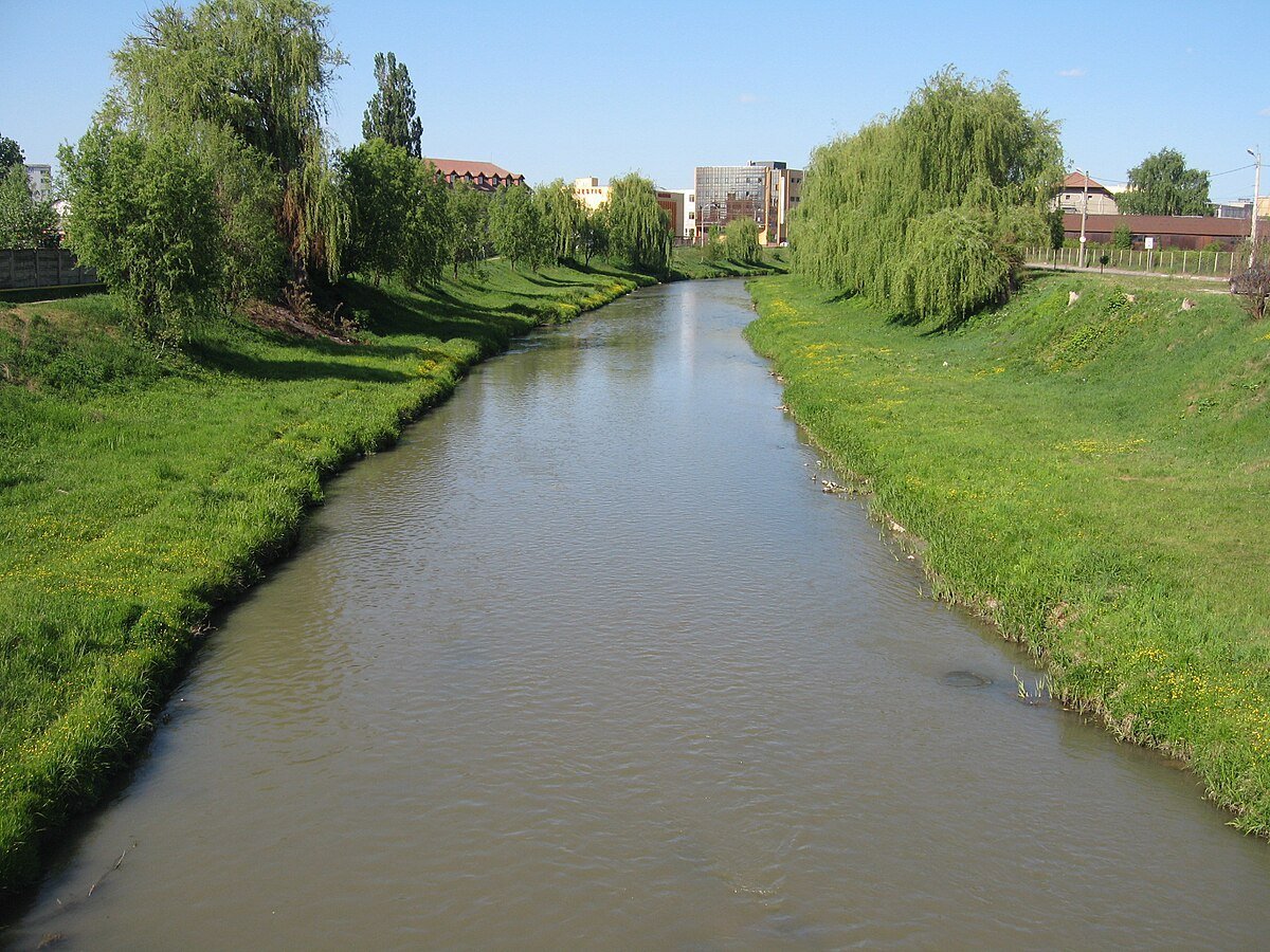 Primăria Sibiu a reziliat acordurile-cadru de 5,3 milioane de lei pentru cosirea spațiilor verzi. Firma din Săliște nu ș