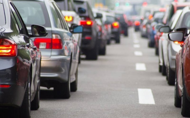 Proiect de lege: apicultorii care își transportă stupii ar putea fi scutiți de plata rovinietei