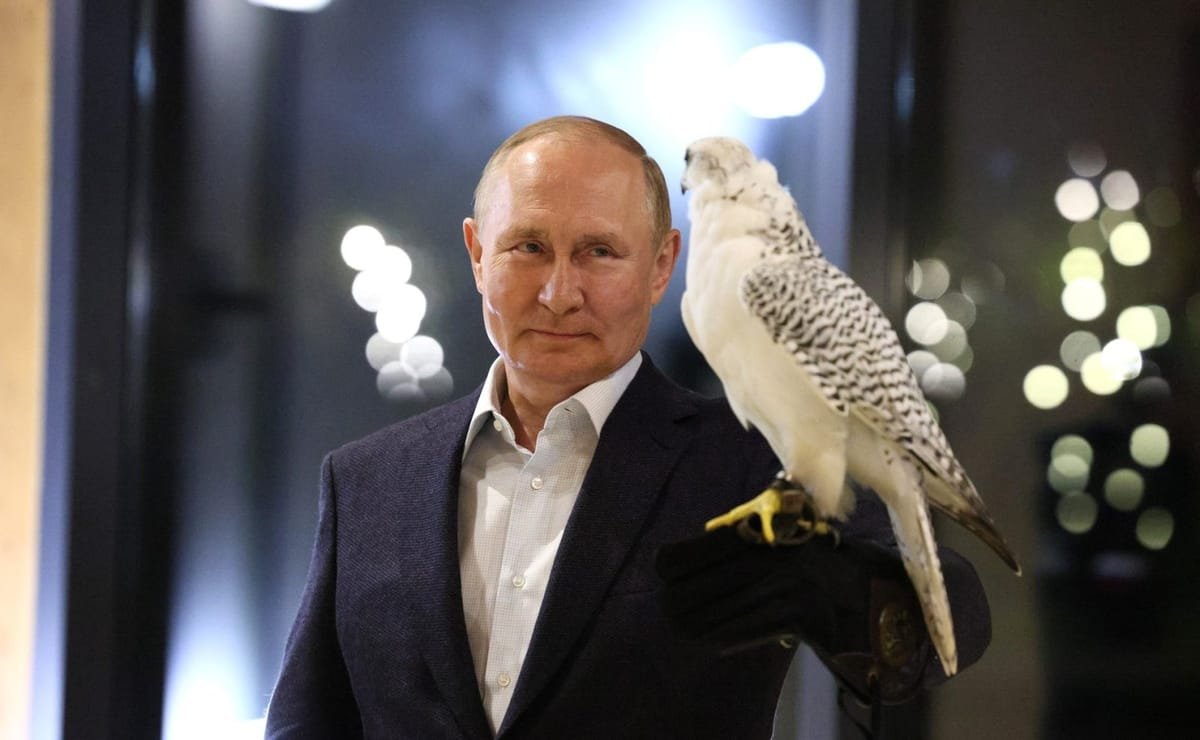 Putin afirmă, invocând „cele mai recente studii genetice”, că rușii și ucrainenii sunt un singur popor