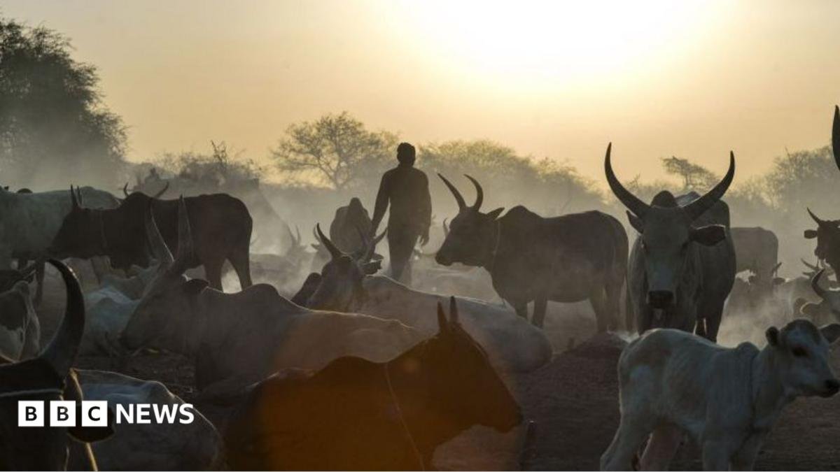 Raiduri coordonate cu cirezi lasă cel puțin 72 de morți în Sudanul de Sud
