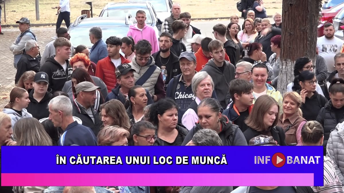 Reșița: peste 260 de locuri de muncă, la bursa pentru absolvenți organizată de Centrul Universitar UBB