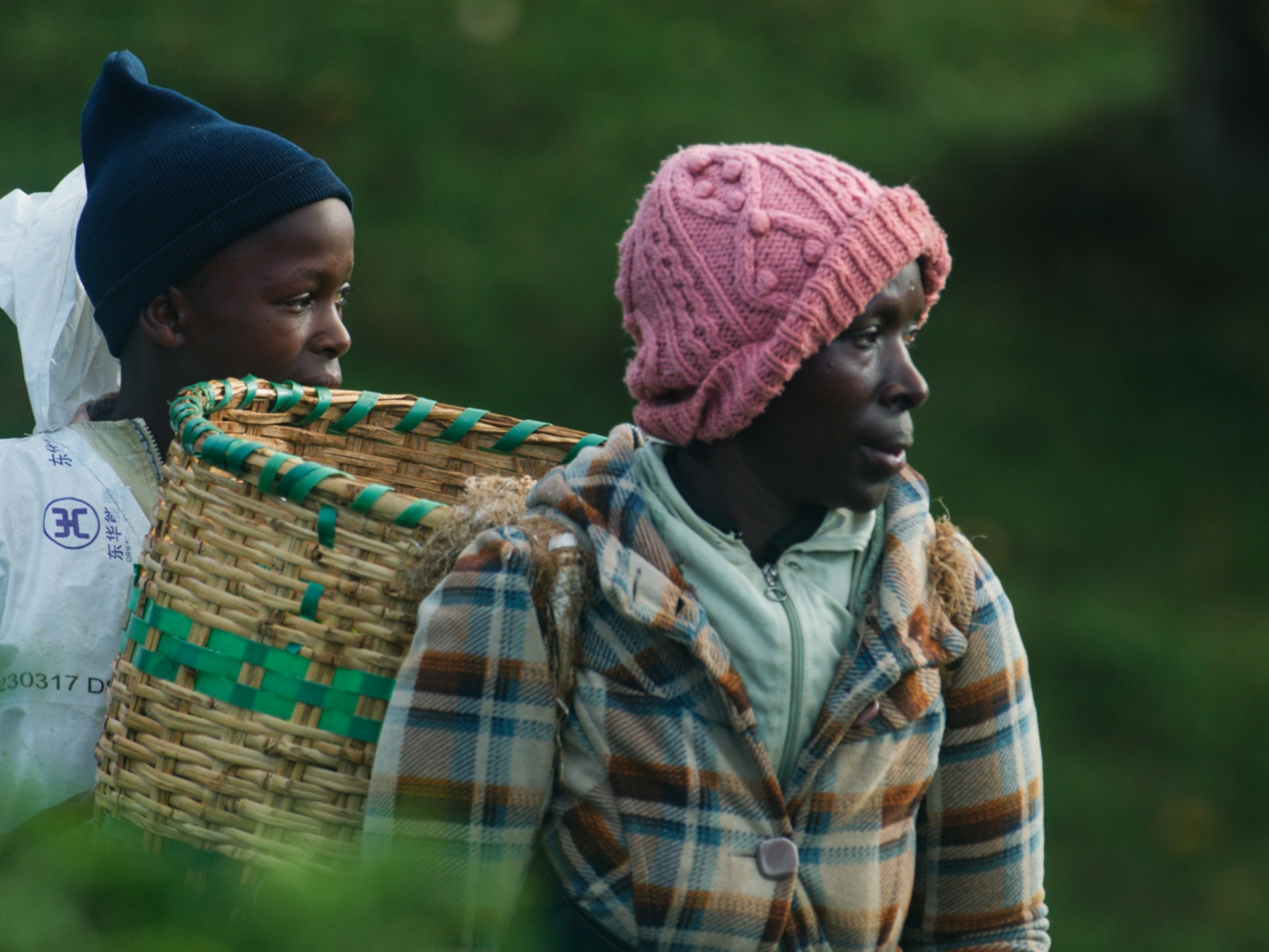 Regizoarea care contestă plantațiile de ceai colonizate din Kenya, exploatate în continuare de corporații internaționale
