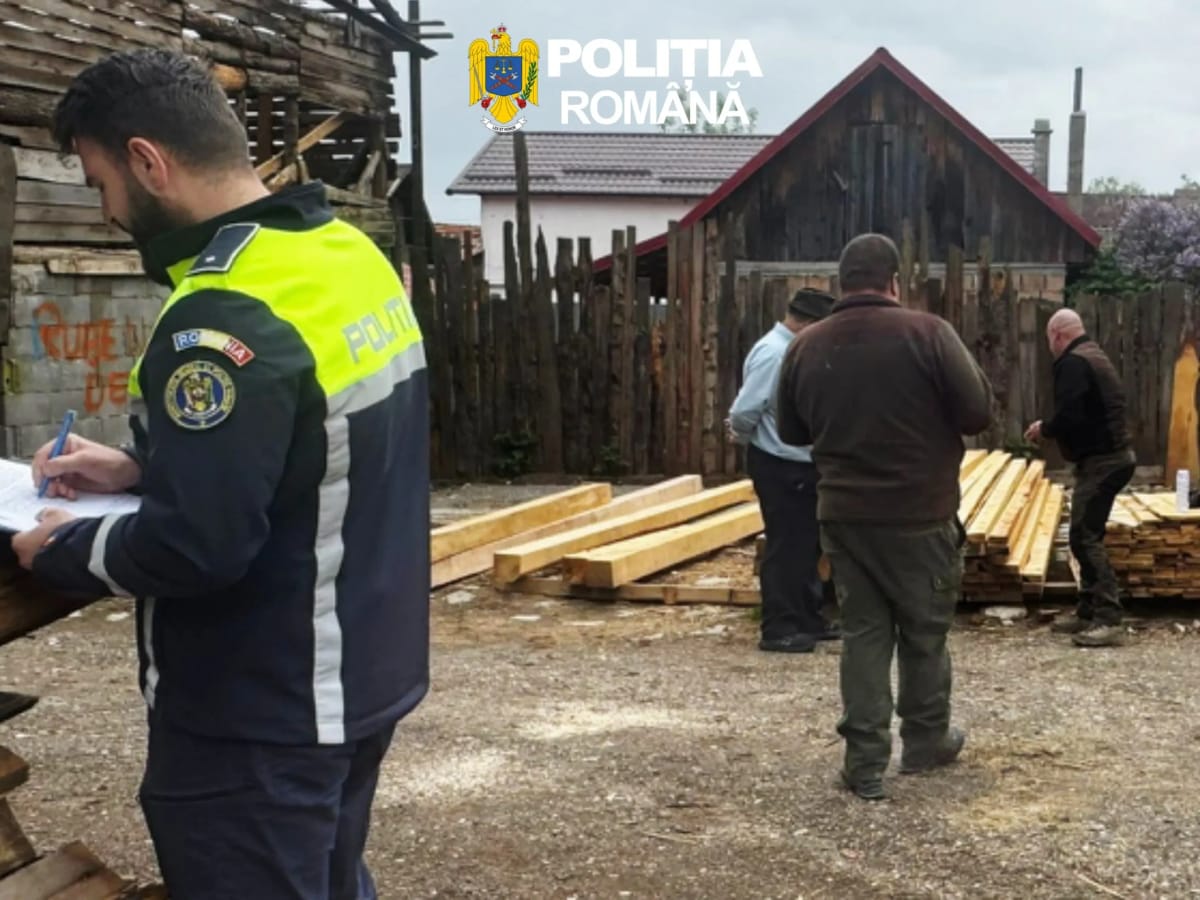 Remetea: firmă amendată cu 5.000 de lei și lemne confiscate după controale în Bihor
