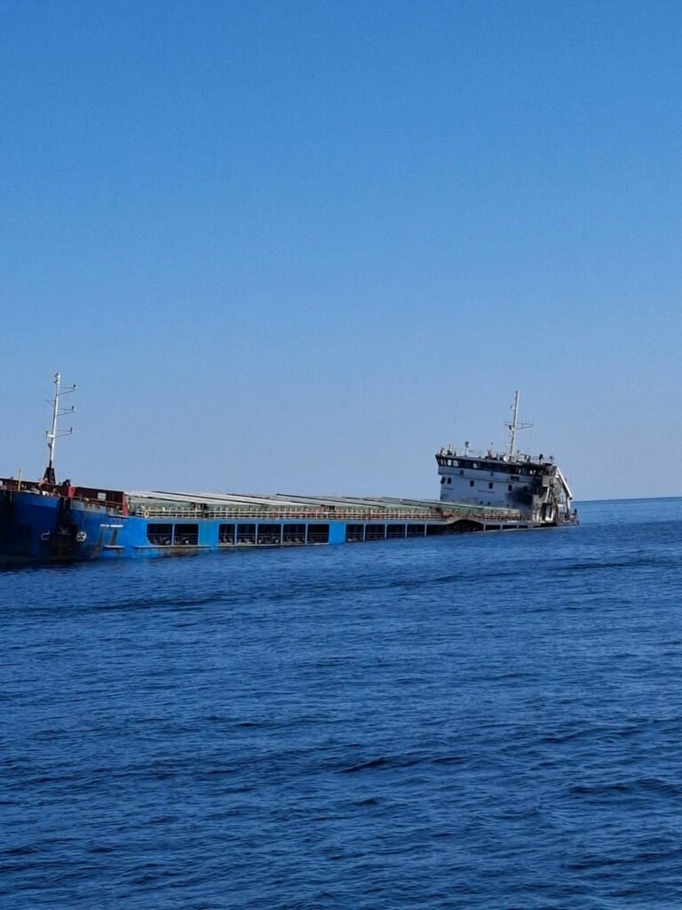 Rezoluția Parlamentului European despre atacurile Rusiei asupra navelor din Marea Neagră, dezbătută la Strasbourg