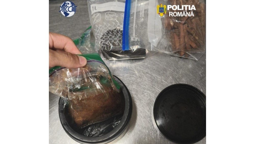 Ritualuri spirituale cu Ayahuasca și șamani, la o pensiune din Hunedoara. Ce a găsit DIICOT la percheziții. Trei persoan