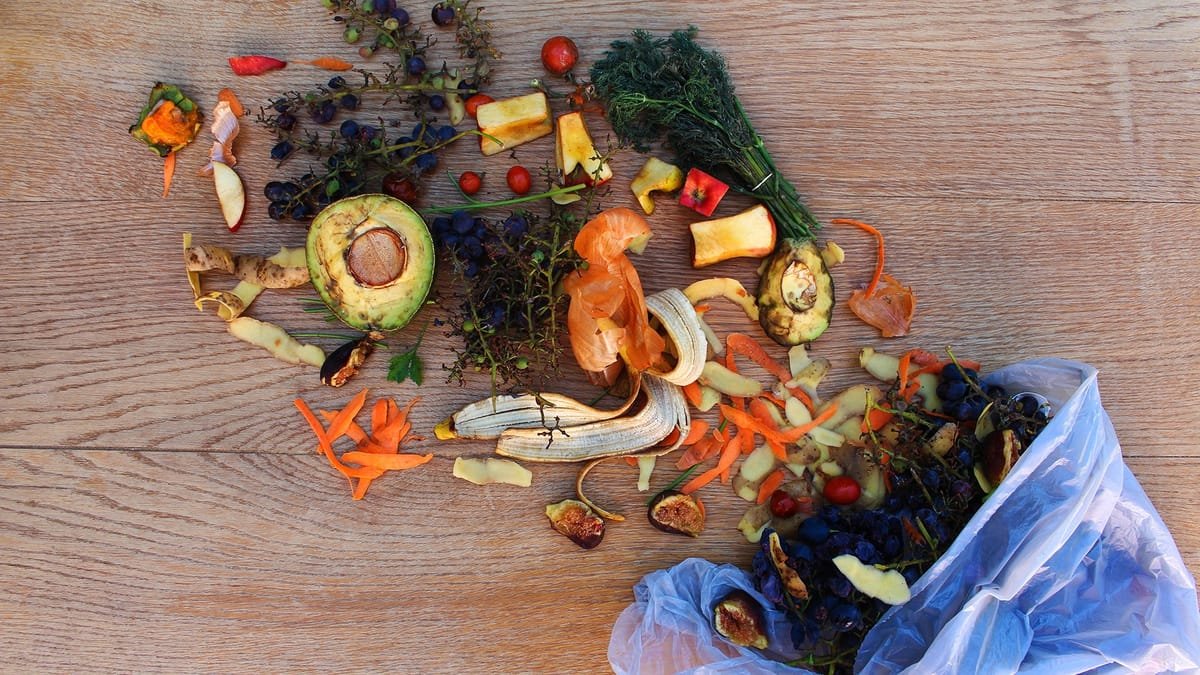 România este printre cele mai risipitoare țări din Europa la alimente, arată raportul ONU: 130 kg/an