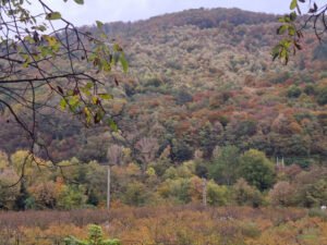 România: temperaturi peste normal și precipitații mai abundente în săptămâna 19-26 octombrie, anunță ANM